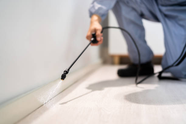 Bed Bug Pre-Treatment Preparation Assessment in Tunnel Hill