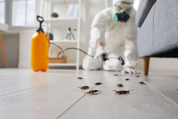 Post-Treatment Bed Bug Interceptor Monitoring in Tunnel Hill