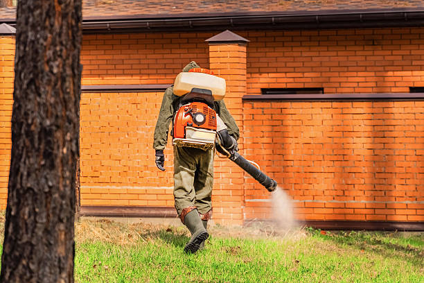 Bed Bug Clearance Verification and Documentation in Tunnel Hill